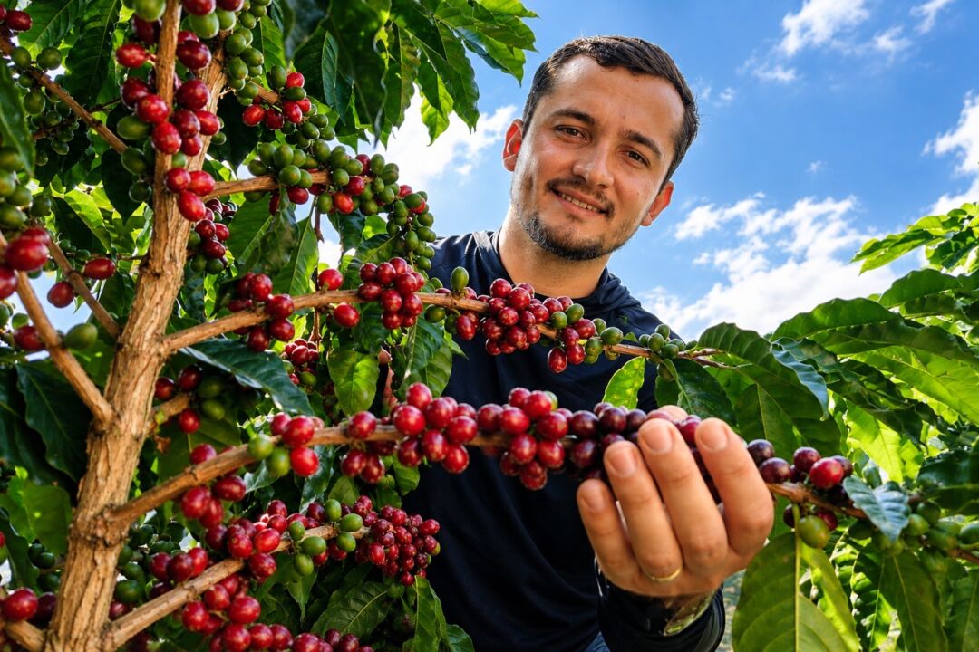 Com apoio do crédito rural, cafeicultor moderniza a propriedade e amplia a produção