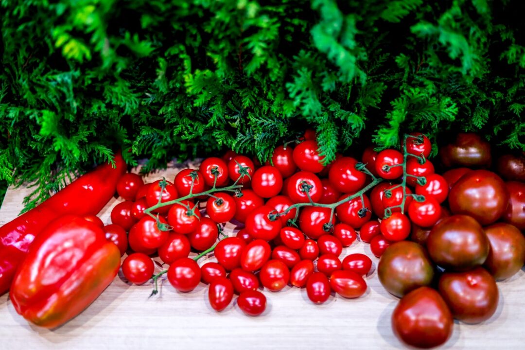 Tecnologias para reduzir perdas de alimentos ganham destaque em feira do setor de produtos frescos
