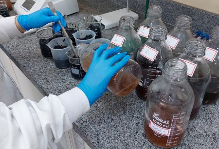 Pesquisa aponta caminho para produzir mais biogás com resíduos de banana
