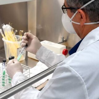 Tecnologia simplifica exame para diagnosticar tuberculose animal