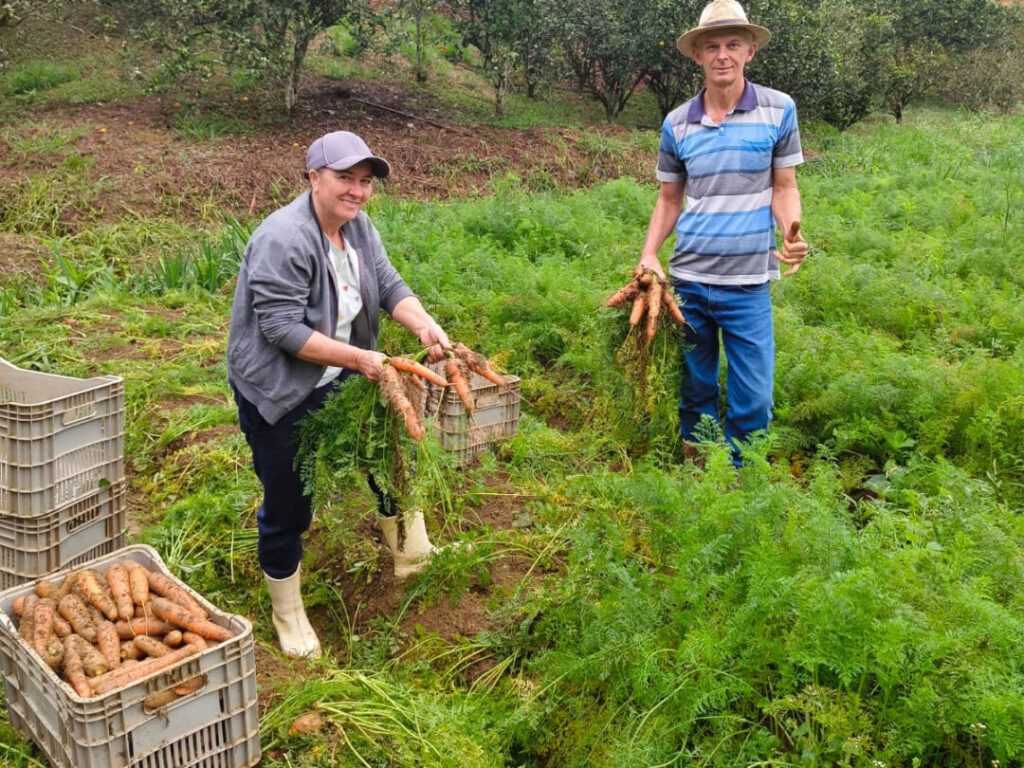 Cooperativa leva produção de agricultores de Domingos Martins para estudantes de todo o Espírito Santo
