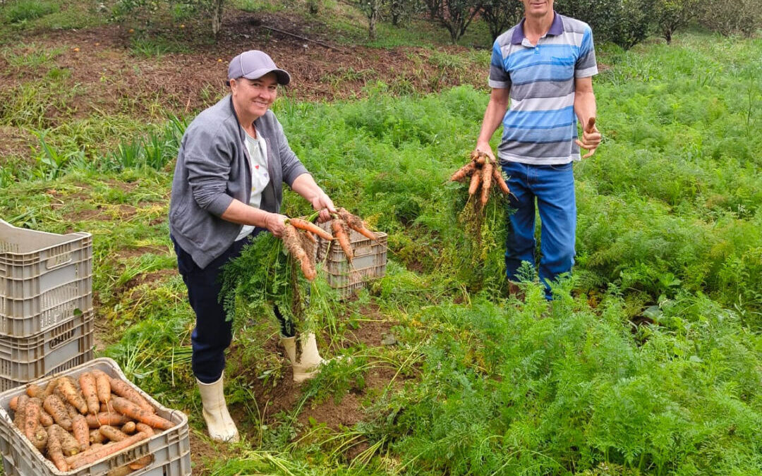 Cooperativa leva produção de agricultores de Domingos Martins para estudantes de todo o Espírito Santo