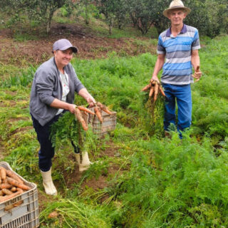Cooperativa leva produção de agricultores de Domingos Martins para estudantes de todo o Espírito Santo