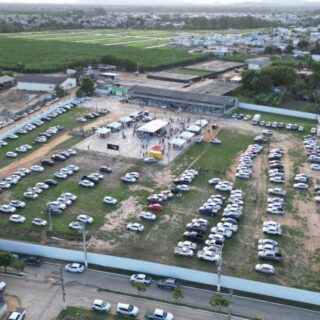 Jaguaré recebe fórum nacional para discutir mercado e produtividade da pimenta-do-reino