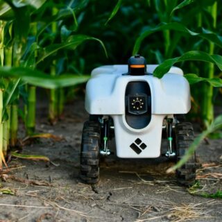 Robótica na colheita: automação de tarefas na lavoura