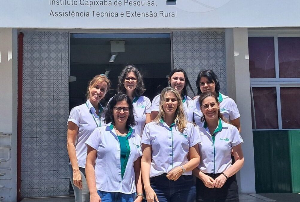 Concurso avalia embalagens de cafés produzidos em Iúna
