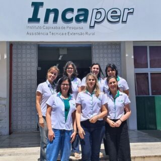 Concurso avalia embalagens de cafés produzidos em Iúna