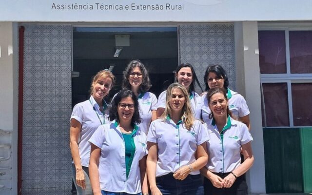 Concurso avalia embalagens de cafés produzidos em Iúna
