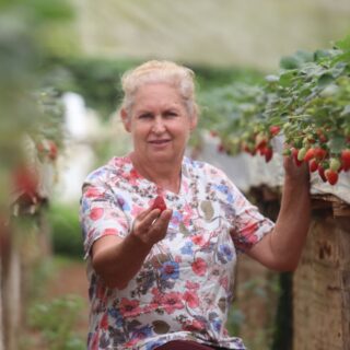 Do morango ao agroturismo, família transforma tradição rural em novas oportunidades com apoio do Sicoob