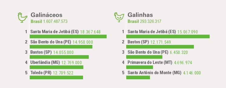 Efetivos de animais da pecuária – Ranking por municípios