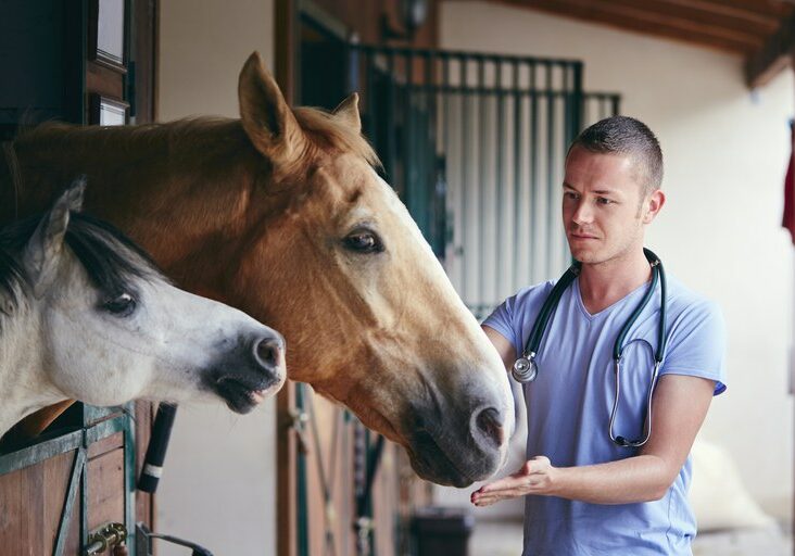 05667418-6cb1-40aa-92bb-8fbbf0dc0452