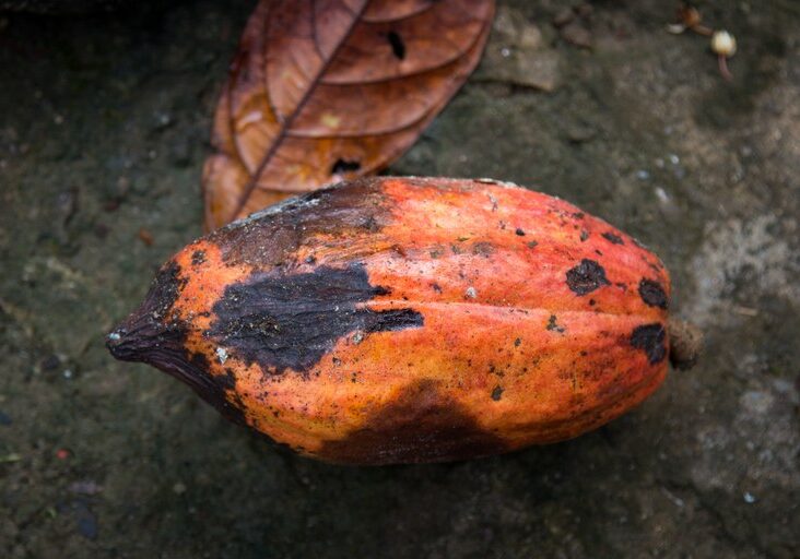 10bb9f95-95d7-4dbd-b4fa-8f4277623932