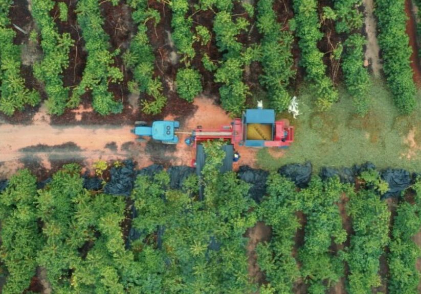 13-Baias-de-Compostagem-Natufert