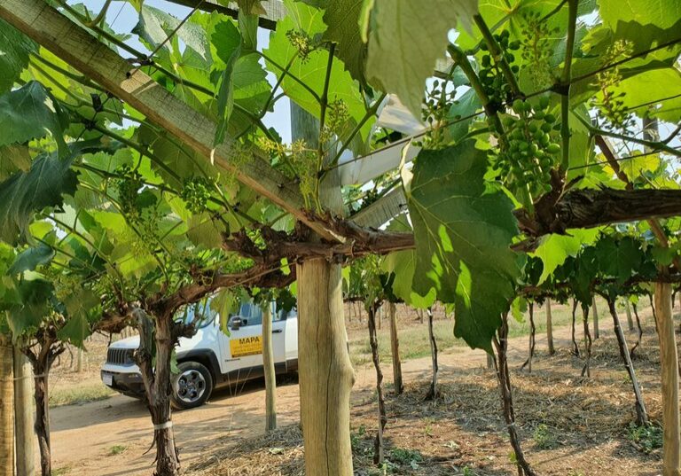 169c7712-b760-4b63-a680-59baf09767b0