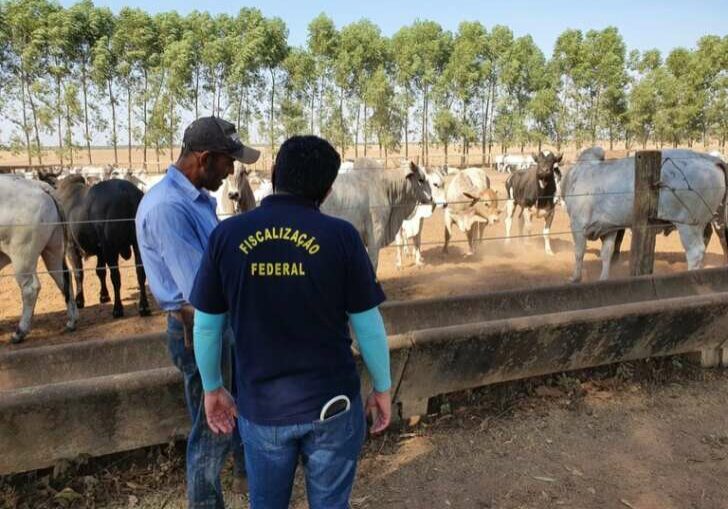 189e5914-ed70-44ae-a7bb-5ed954d4f215