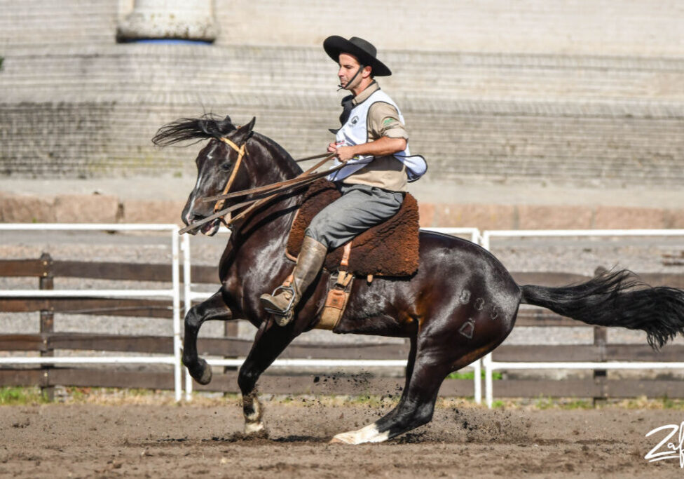 1_MACHOS_CAMPANA ECHO A MANO_Zaf Fotografias Divulgação