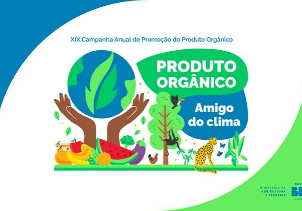 1bb9807d-a91e-43dd-925a-ed1f4ff9b1c5