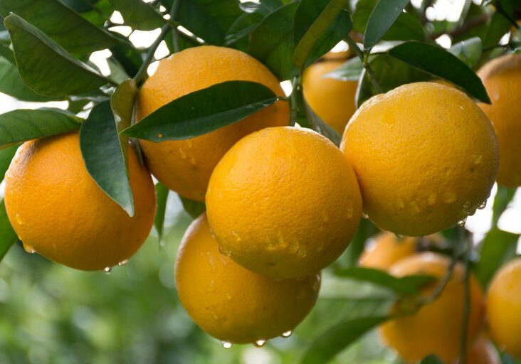 1f1d9182-b36e-49d9-ac81-65692713bc6a