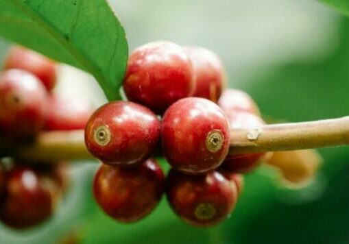 3485-copia-de-chamada-novo-site-png