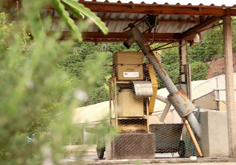 3610-whatsapp-image-2022-10-28-at-13-40-02-jpeg