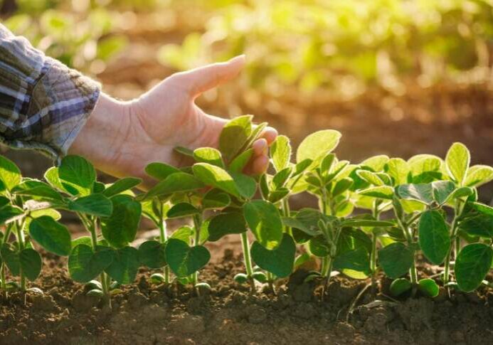 36584a6f-e389-41dd-be89-d71307140892