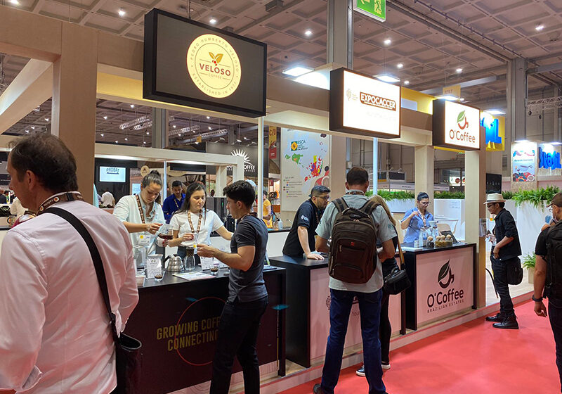 41bc1702-ee1d-874c-e465-d812ac330e77