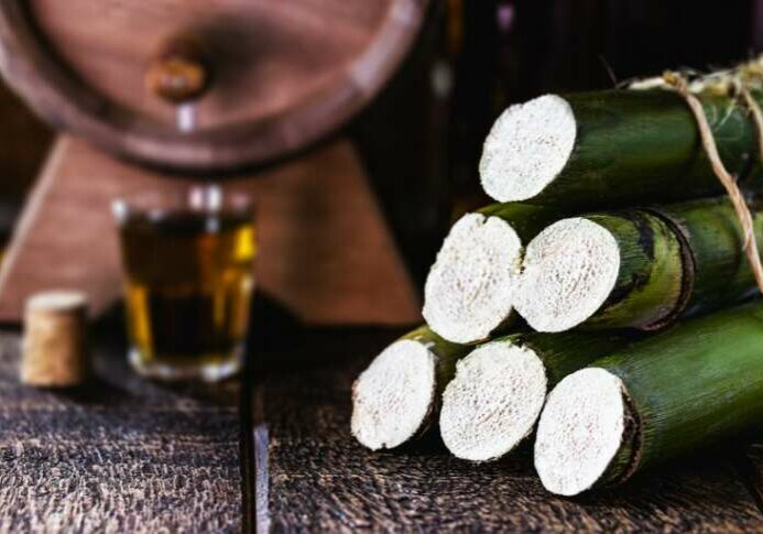 46574ac1-73a7-4ed5-af29-9b0153971938