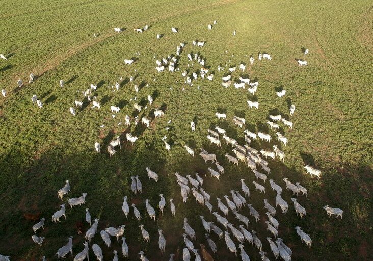 4811988d-7179-4827-ad27-2f87624513b5