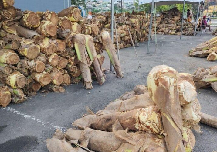 49695_08042022_900x500