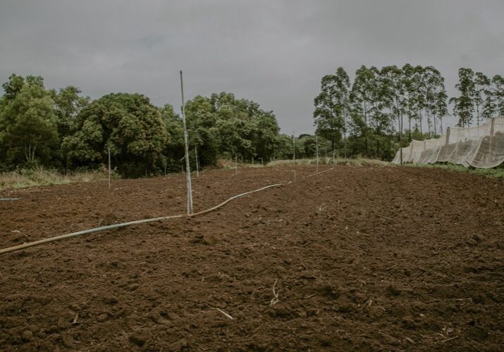 51489_11102022_900x500