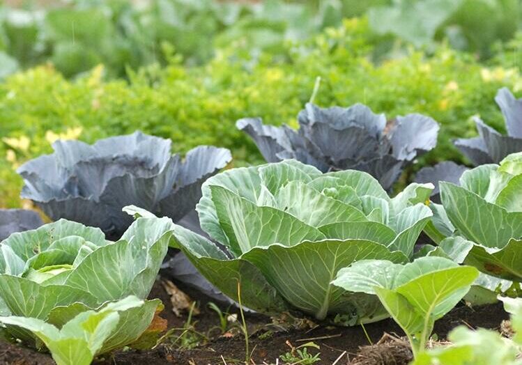 66af4e7c3d9458f78eca8ed17b260661