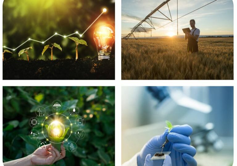 6cac17c8-2791-4834-b6b2-b1595c0a357c