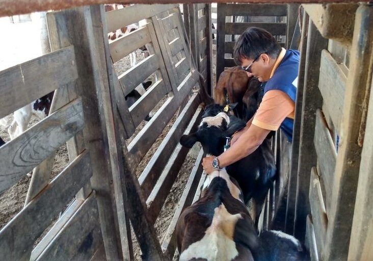 94298e0e-2cb3-45c2-b58f-c6df70cfea9f