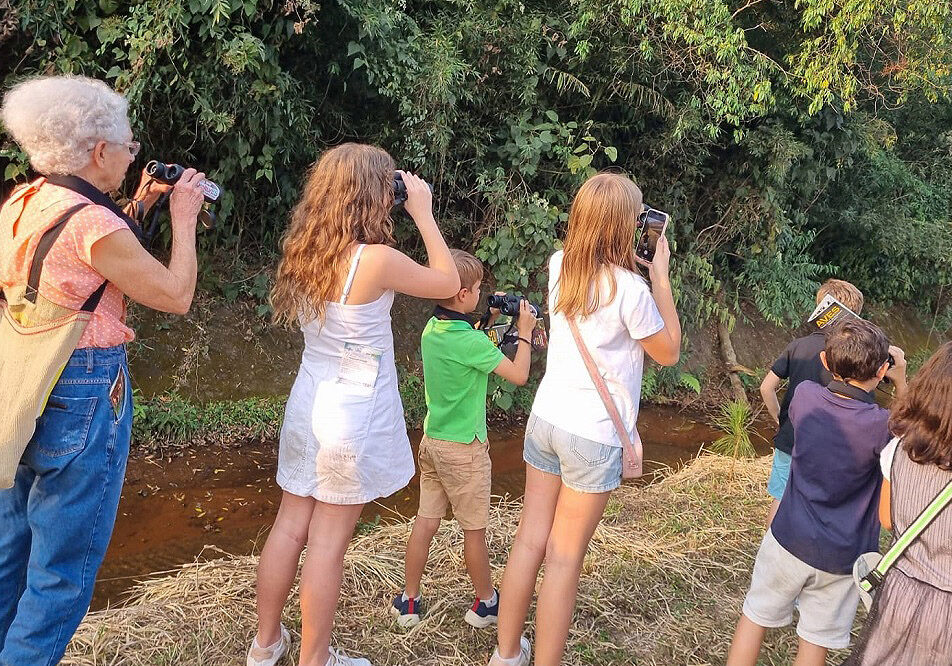 A Magia de Passarinhar capa