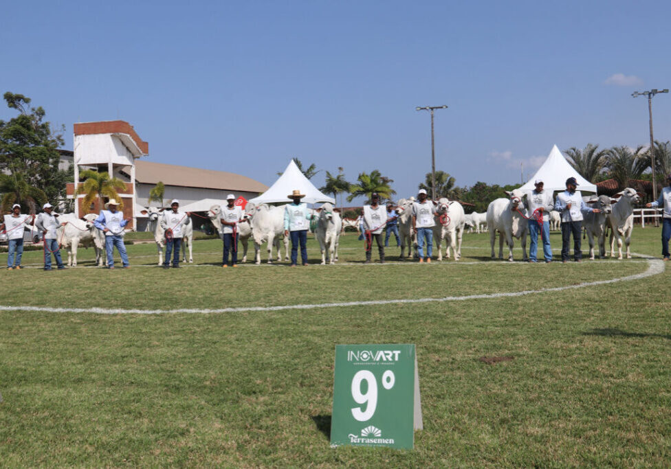 ACNB-Exponel-de-Vila-Velha-e-Exposicao-Ouro-dos-Rankings-Nelore-e-acontece-de-8-a-13-de-junho-foto-divulgacao