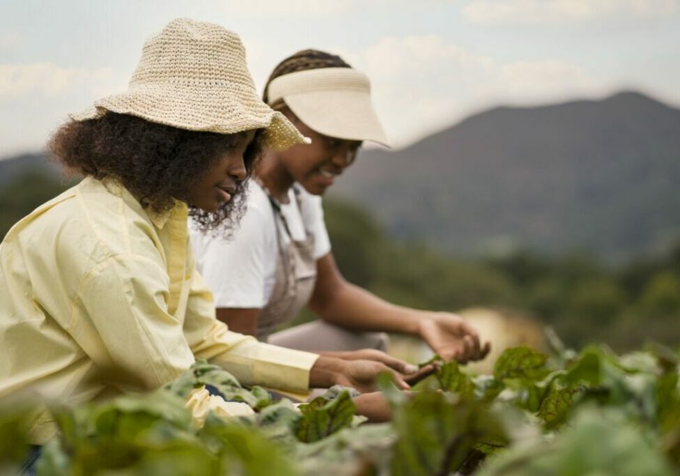 AGRICULTURA_FAMILIAR_FREEPIK