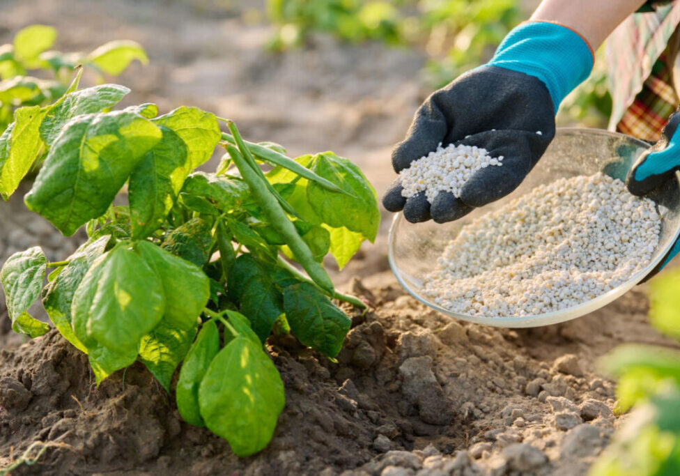 Adubo - fertilizante - Freepik