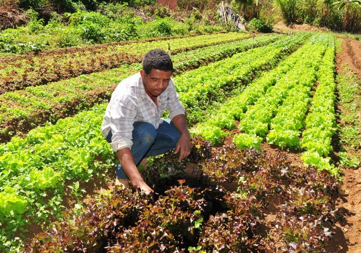 Agricultor familiar auxilio