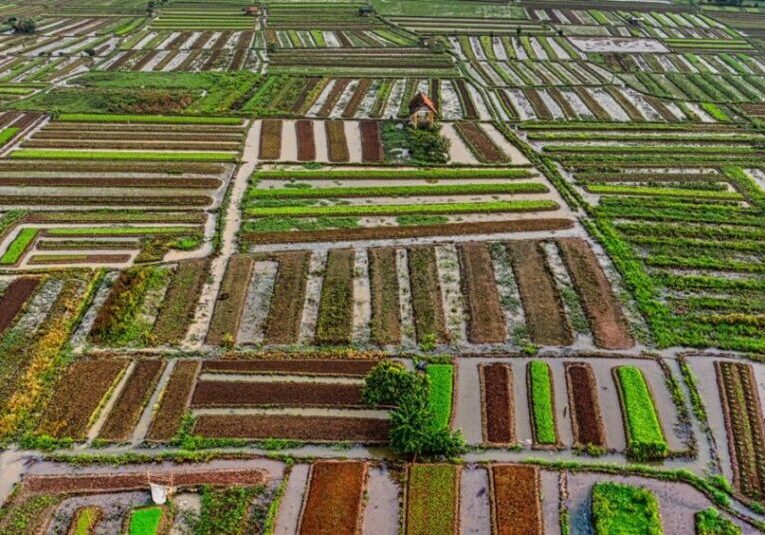 Agricultura de precisão_ como a tecnologia otimiza o campo