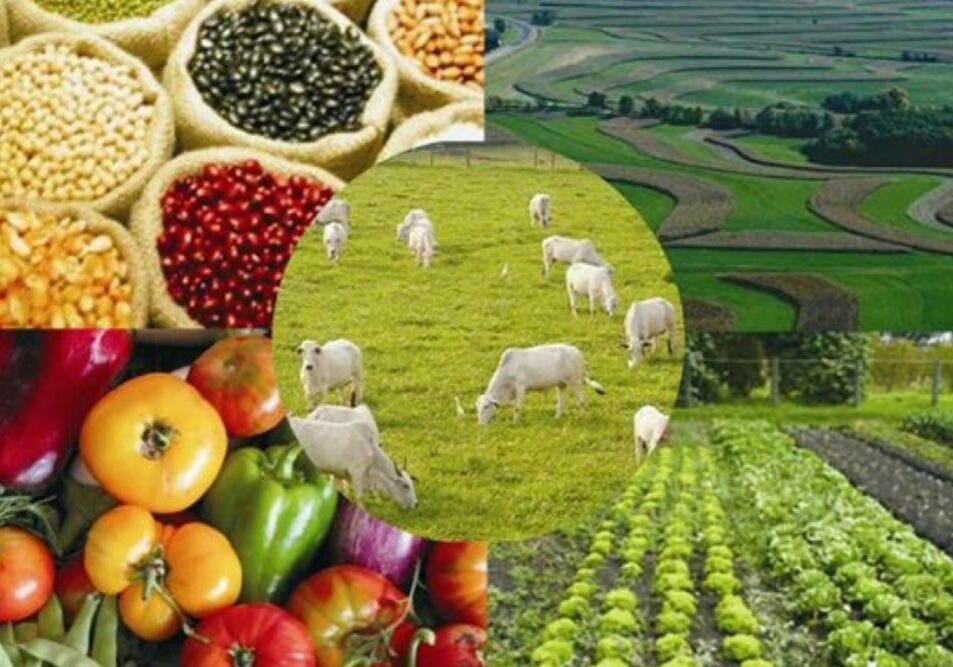 Agricultura do Brasil