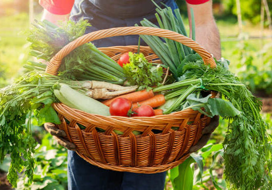 Agricultura-sustentavel