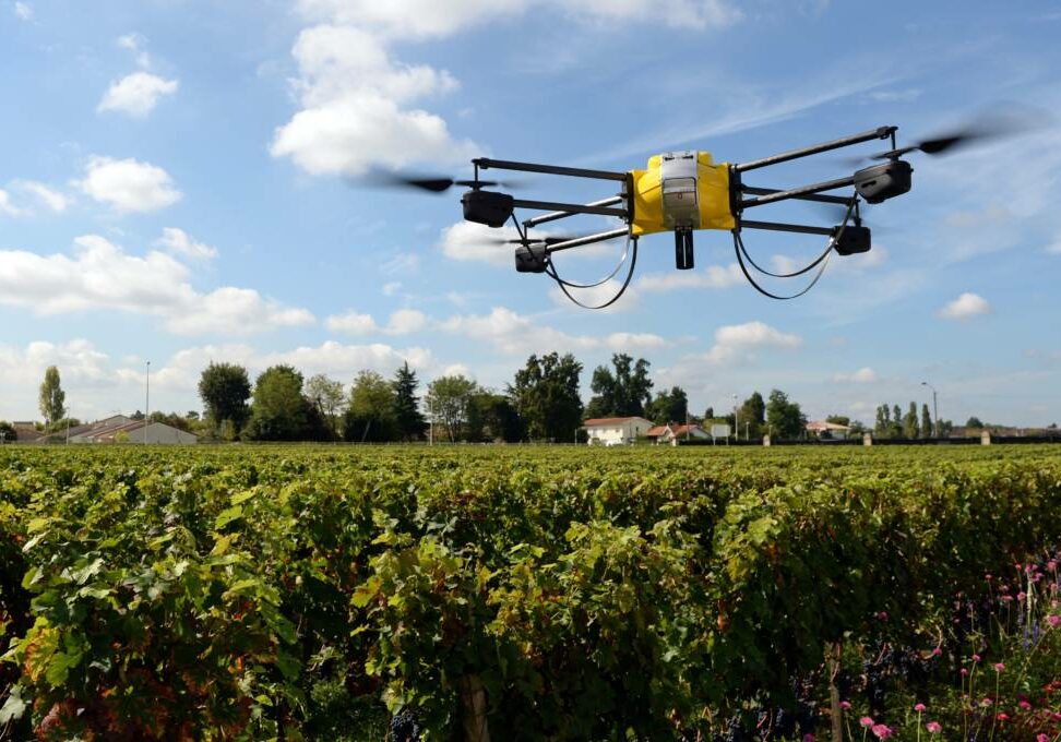 TO GO WITH AFP STORY BY LAURENT ABADIE
A photo taken on September 9, 2014 shows a drone flying over vineyards of the Pape Clement castle, belonging to Bordeaux winemaker Bernard Magrez in the soutwestern French town of Pessac. Magrez is the first winemaker to have bought last February a drone equipped with a infrared camera to determine the optimal maturity of the domain's grapes and thus harvest them at different times.  AFP PHOTO JEAN PIERRE MULLER.        (Photo credit should read JEAN PIERRE MULLER/AFP/Getty Images)