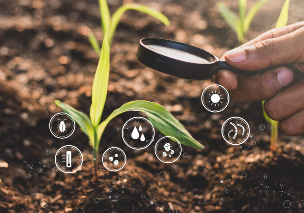 A man's hand is using a magnifying glass to illuminate a seedling of corn, and a technology icon is all around.
