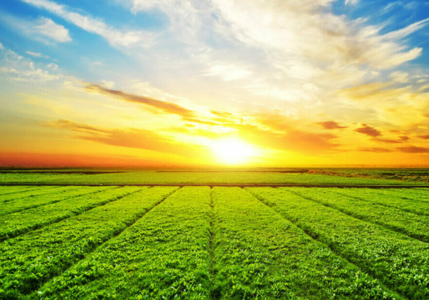Agroclima_FREEPIK