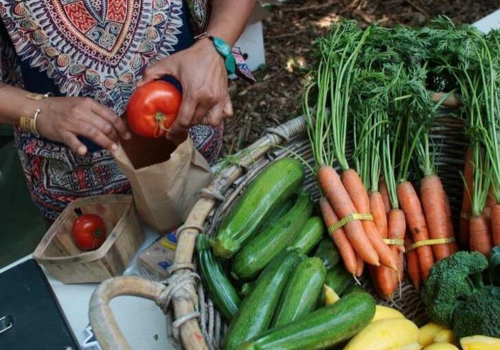 Alimentacao-sustentavel