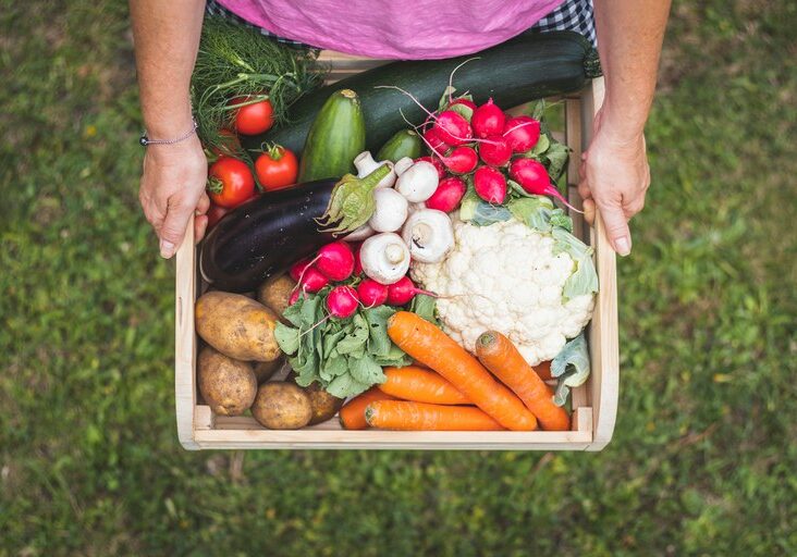 Alimentos-Istok-Mapa