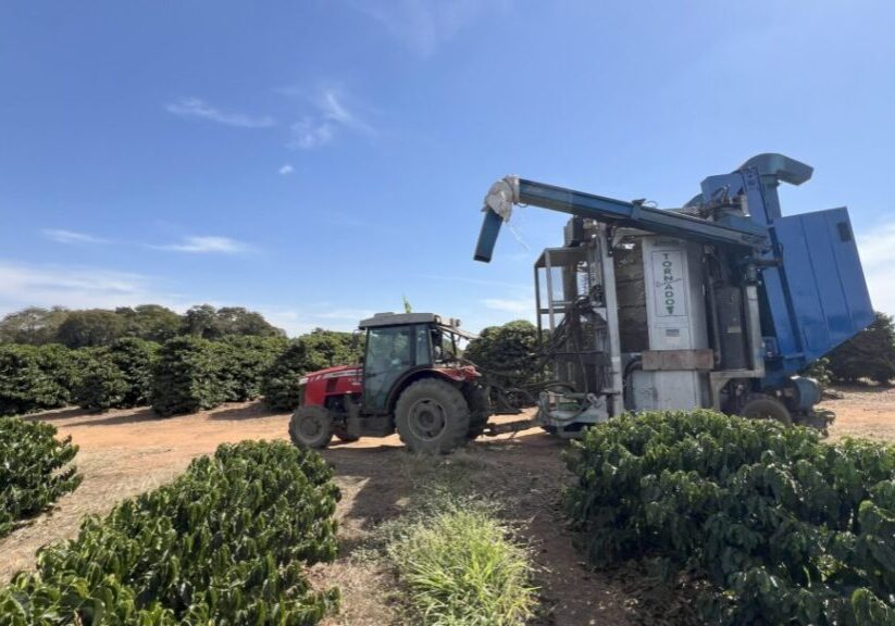 Alto Mogiana - Divulgação Casa da Comunicação Franca