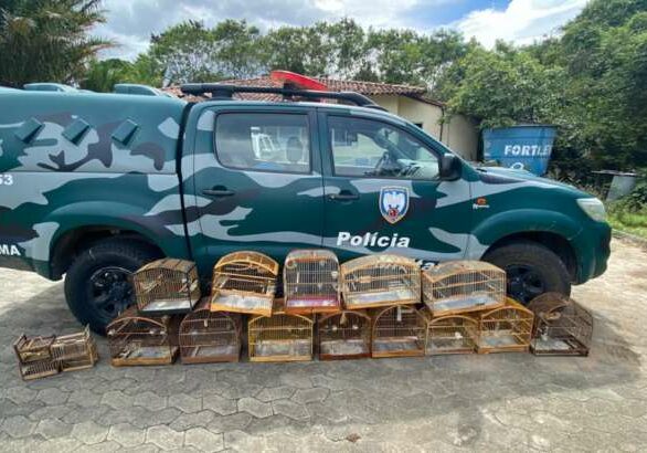 Apreensao-aves-Vitoria