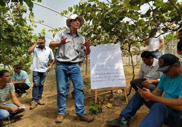 Ater-Crédito_Arquivo-Incaper