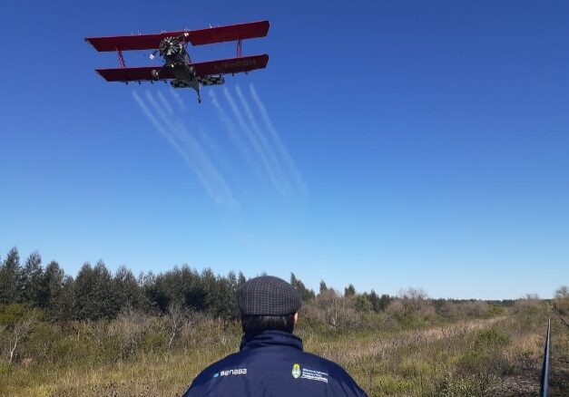 Avião combatendo gafanhoto